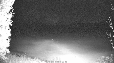 Image from 2025-04-03