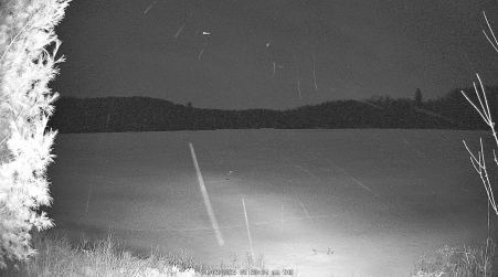 Image from 2025-04-03