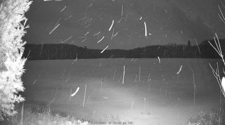 Image from 2025-04-03