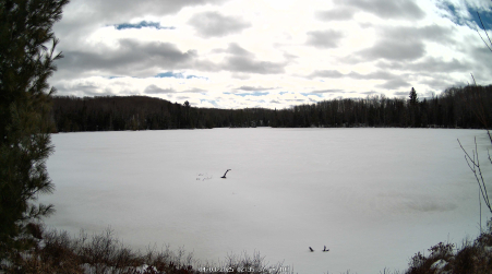 Image from 2025-04-03