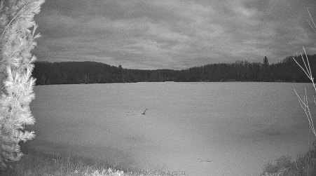 Image from 2025-04-03