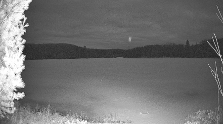 Image from 2025-04-03