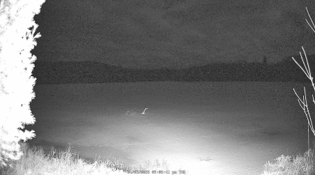 Image from 2025-04-03