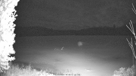 Image from 2025-04-03