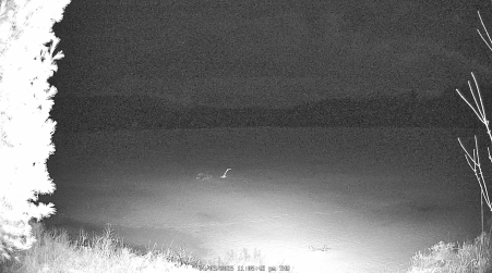 Image from 2025-04-03