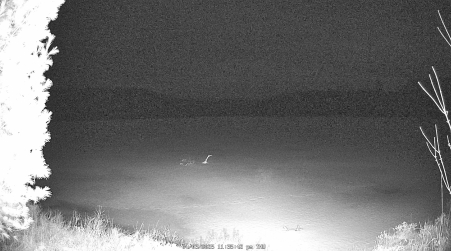 Image from 2025-04-03