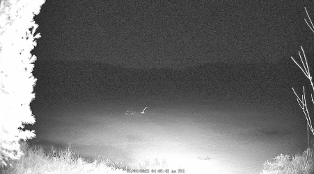 Image from 2025-04-04
