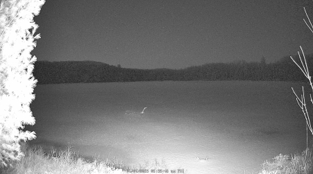 Image from 2025-04-04
