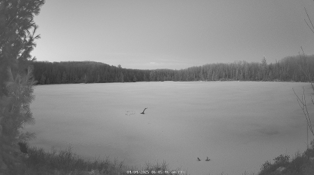 Image from 2025-04-04