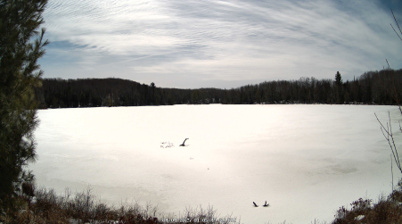 Image from 2025-04-04
