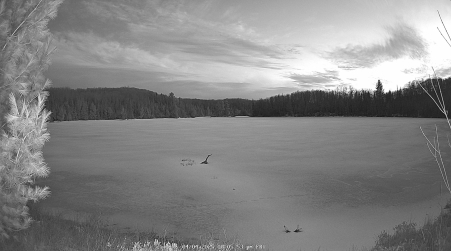 Image from 2025-04-04
