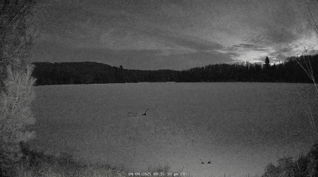 Image from 2025-04-04
