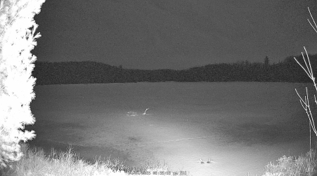 Image from 2025-04-04