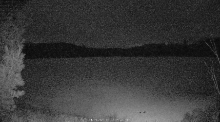 Image from 2025-04-04
