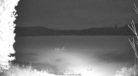 Image from 2025-04-04