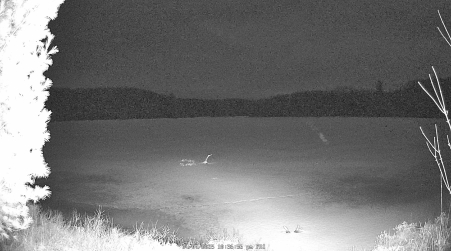 Image from 2025-04-04