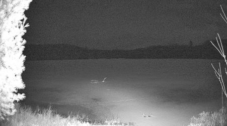 Image from 2025-04-04