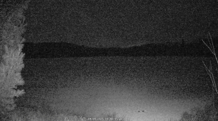 Image from 2025-04-04