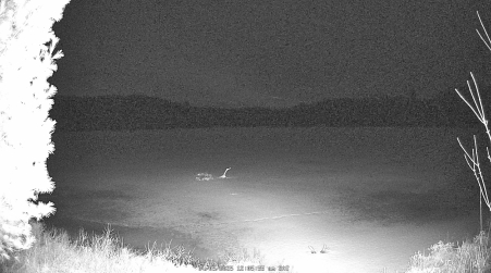 Image from 2025-04-05