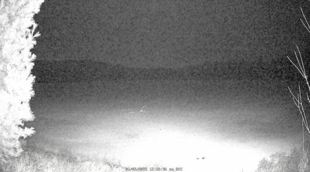 Image from 2025-04-05
