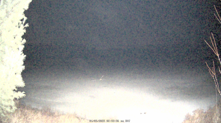 Image from 2025-04-05