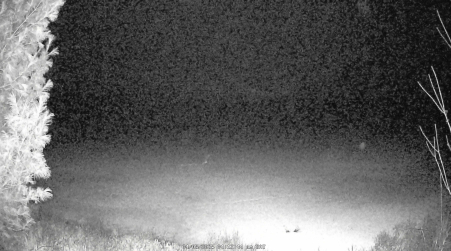 Image from 2025-04-05