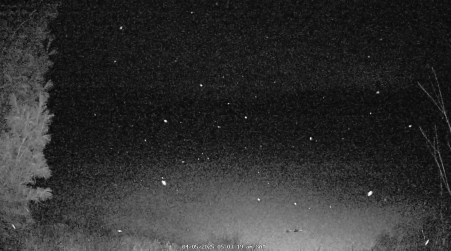 Image from 2025-04-05