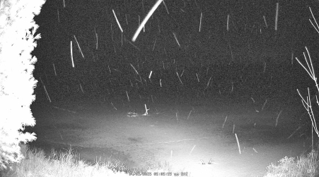 Image from 2025-04-05
