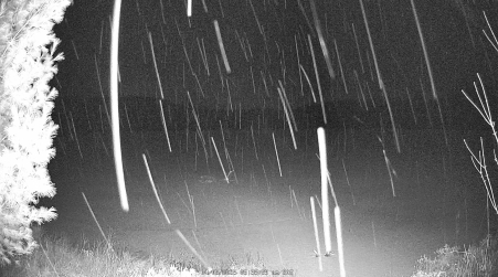 Image from 2025-04-05
