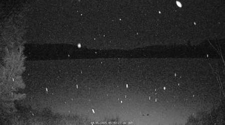 Image from 2025-04-05