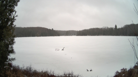 Image from 2025-04-05