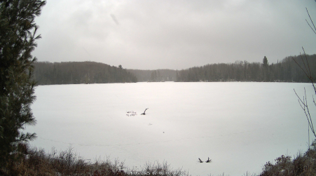 Image from 2025-04-05