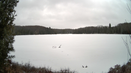 Image from 2025-04-05