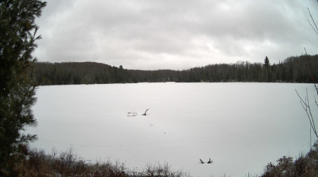 Image from 2025-04-05