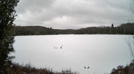 Image from 2025-04-05