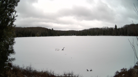 Image from 2025-04-05