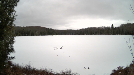 Image from 2025-04-05