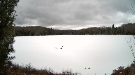 Image from 2025-04-05