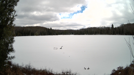 Image from 2025-04-05