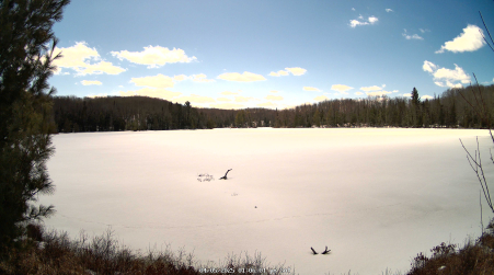 Image from 2025-04-05