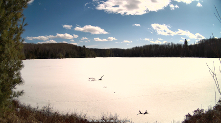 Image from 2025-04-05