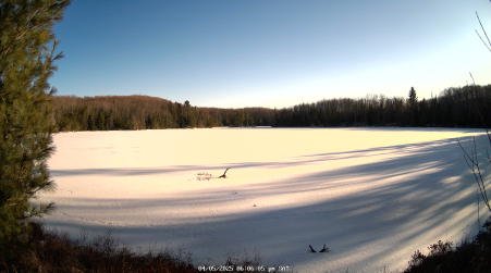 Image from 2025-04-05