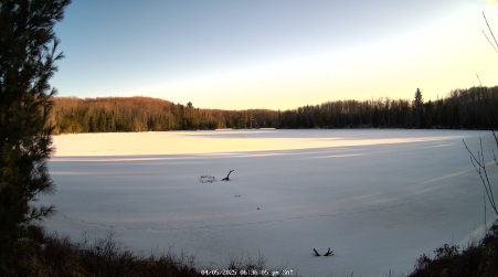 Image from 2025-04-05
