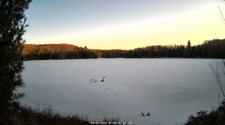 Image from 2025-04-05