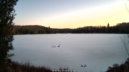 Image from 2025-04-05