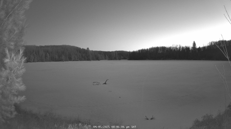 Image from 2025-04-05