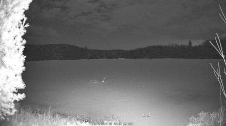 Image from 2025-04-05
