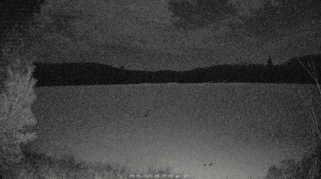 Image from 2025-04-05