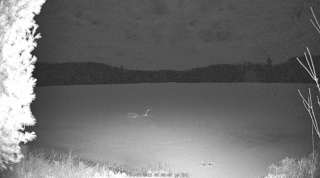 Image from 2025-04-05