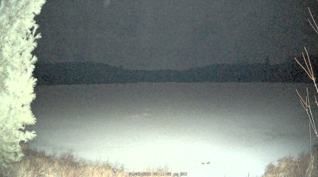 Image from 2025-04-05